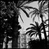 Enlarge photo 109