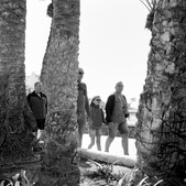 Enlarge photo 112