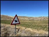 Enlarge photo 205