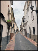 Enlarge photo 225