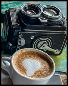 Enlarge photo 176