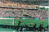 Enlarge photo 33