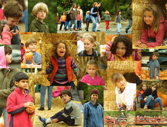 Enlarge photo 129