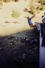 Enlarge photo 57