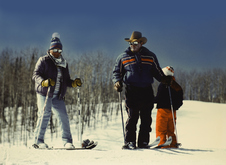 Enlarge photo 55