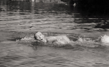 Enlarge photo 40