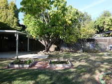 Enlarge photo 43